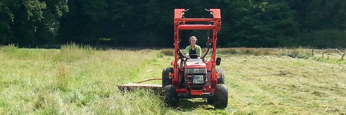 Landschaftsservice Syke Kurt Gödeke: Ihre Grünfläche - unser Anliegen