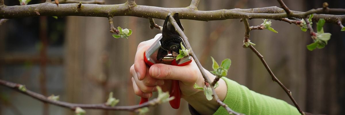 Landschaftsservice Syke Kurt Gödeke: Ihre Grünfläche - unser Anliegen